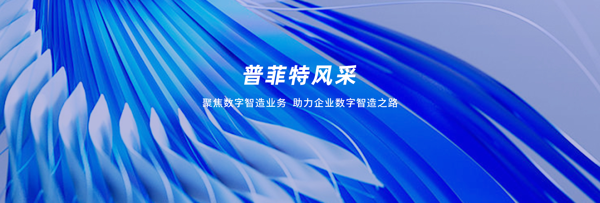 普菲特风采banner