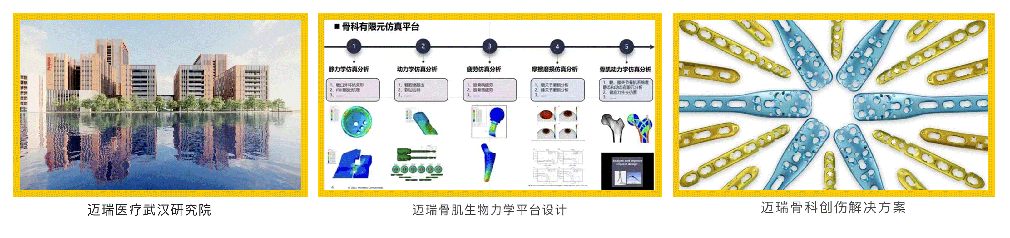 普菲特信息｜热烈祝贺武汉迈瑞SAP实施项目成功上线