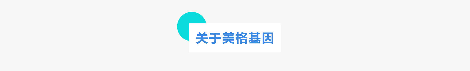 普菲特信息 ｜联合「美格基因」打造国内生物医药行业标杆企业